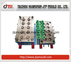 PP, PVC, PPR And Other 10 Cavity Plastic Pipe Cold Gate Mold