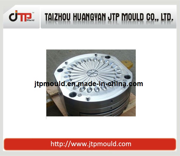 24 Cavities Plastic Injection Spoon Mould/Mold